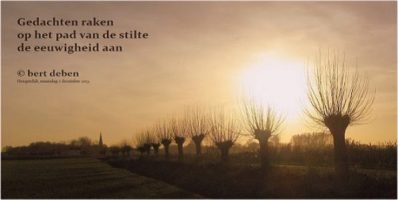 Shiatsupraktijk Chris Ruytinx